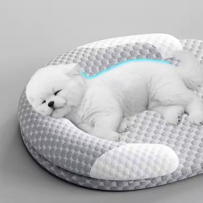 Bedream Dog™ - Kylande säng för husdjur